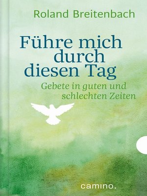 cover image of Führe mich durch diesen Tag